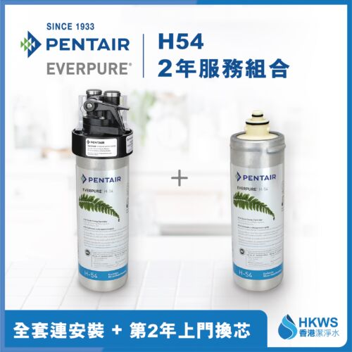 Everpure H-54 direct drinking water filter equipment 2 years full fee