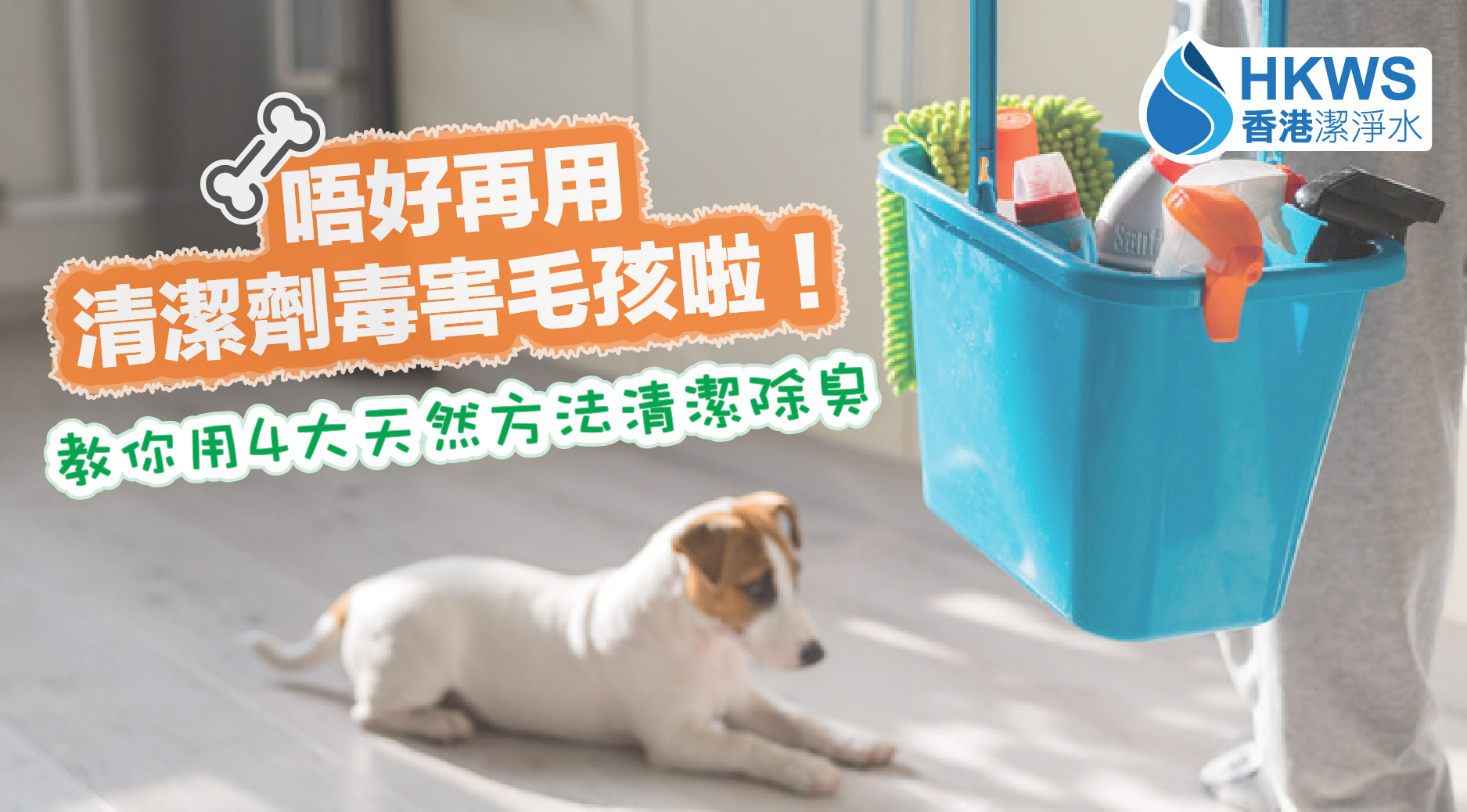 唔好再用清潔劑毒害毛孩啦!教你用4大天然方法清潔除臭