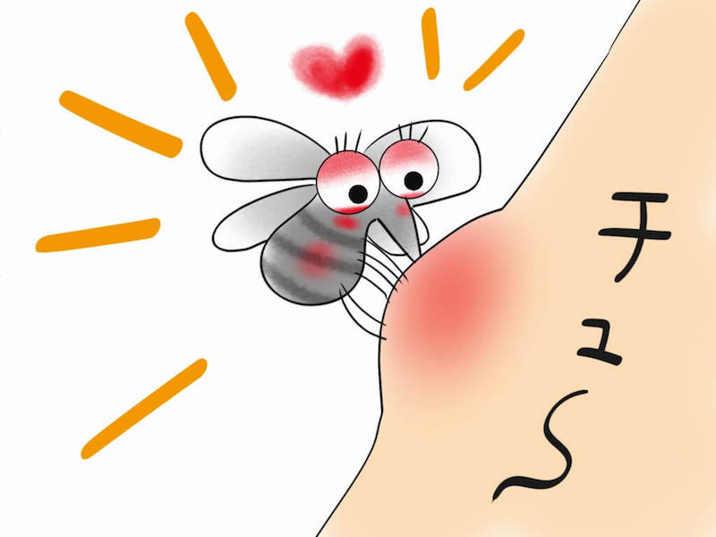蟲蟲飛～6種屋企常見用品解決蚊咬