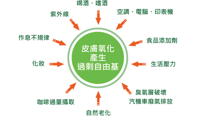 自由基如何影響你的健康