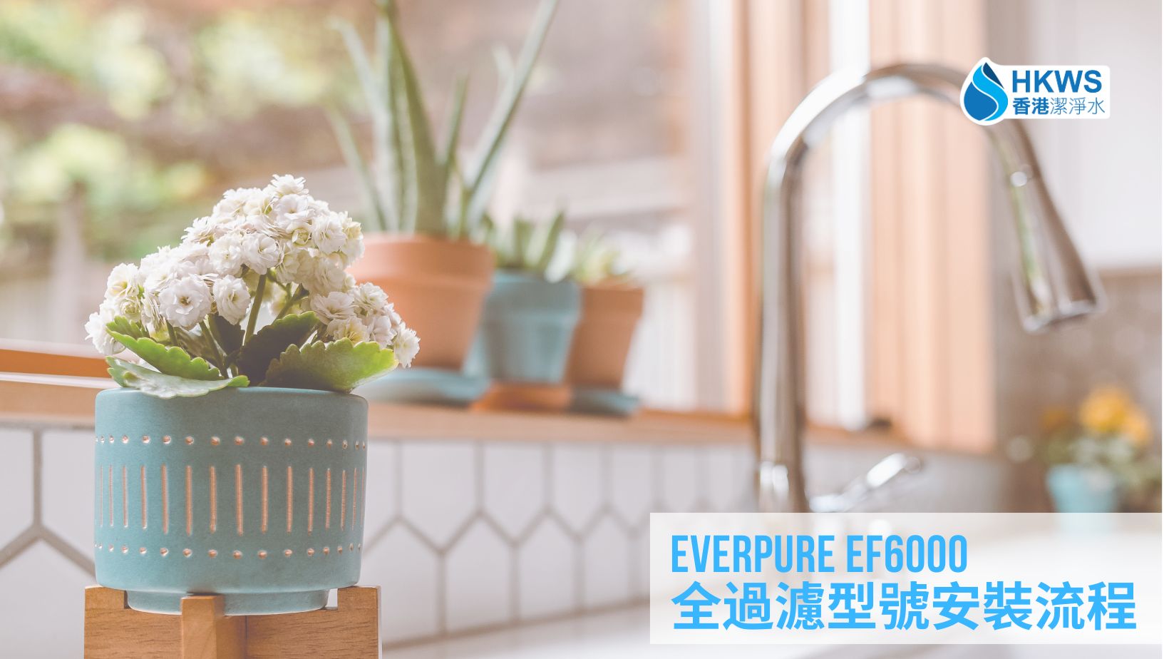 Everpure EF6000 全過濾型號安裝流程