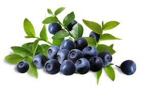 藍莓可以消滅產後抑鬱症？
